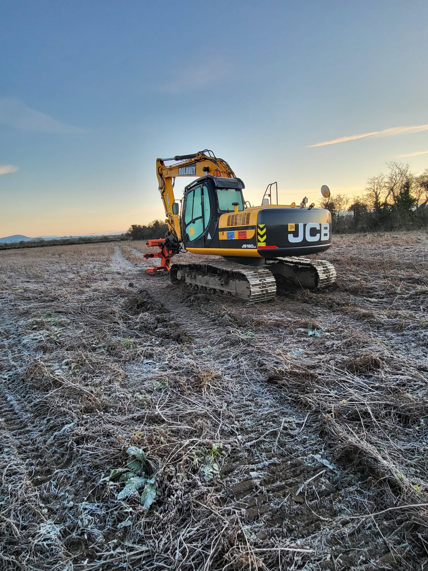 Moloney Agri and Tree Care